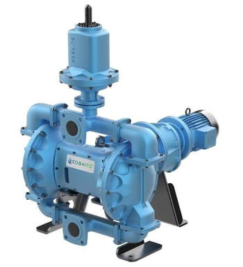 Cognito EODD pump with dampener