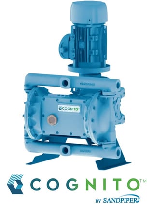 Cognito by SANDPIPER metallic EODD pump