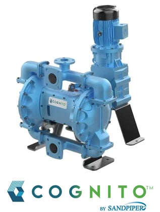 Cognito by SANDPIPER metallic EODD pump
