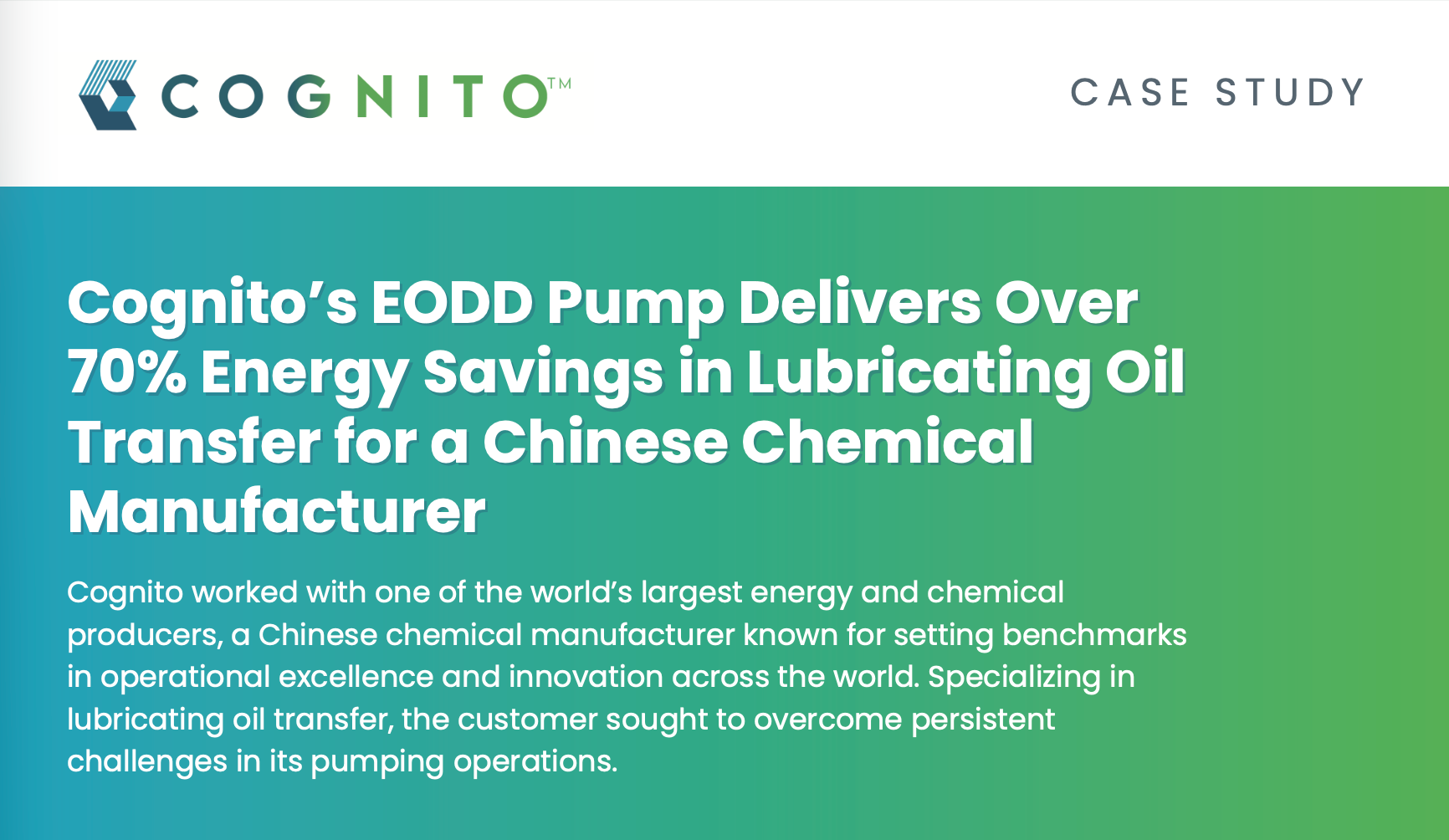 Cognito’s EODD Pump Delivers Over 70% Energy Savings in Lubricating Oil Transfer for a Chinese Chemical Manufacturer