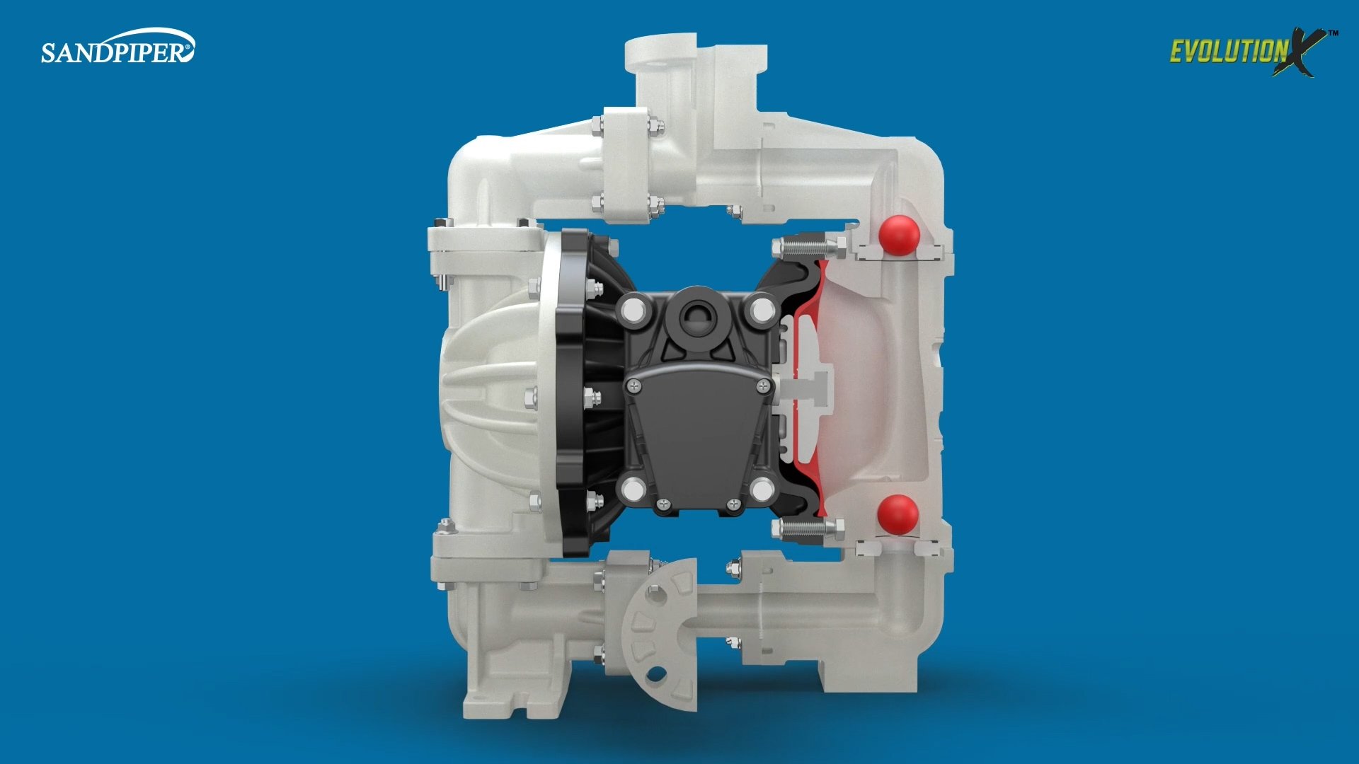 Sandpiper Evolution X 1