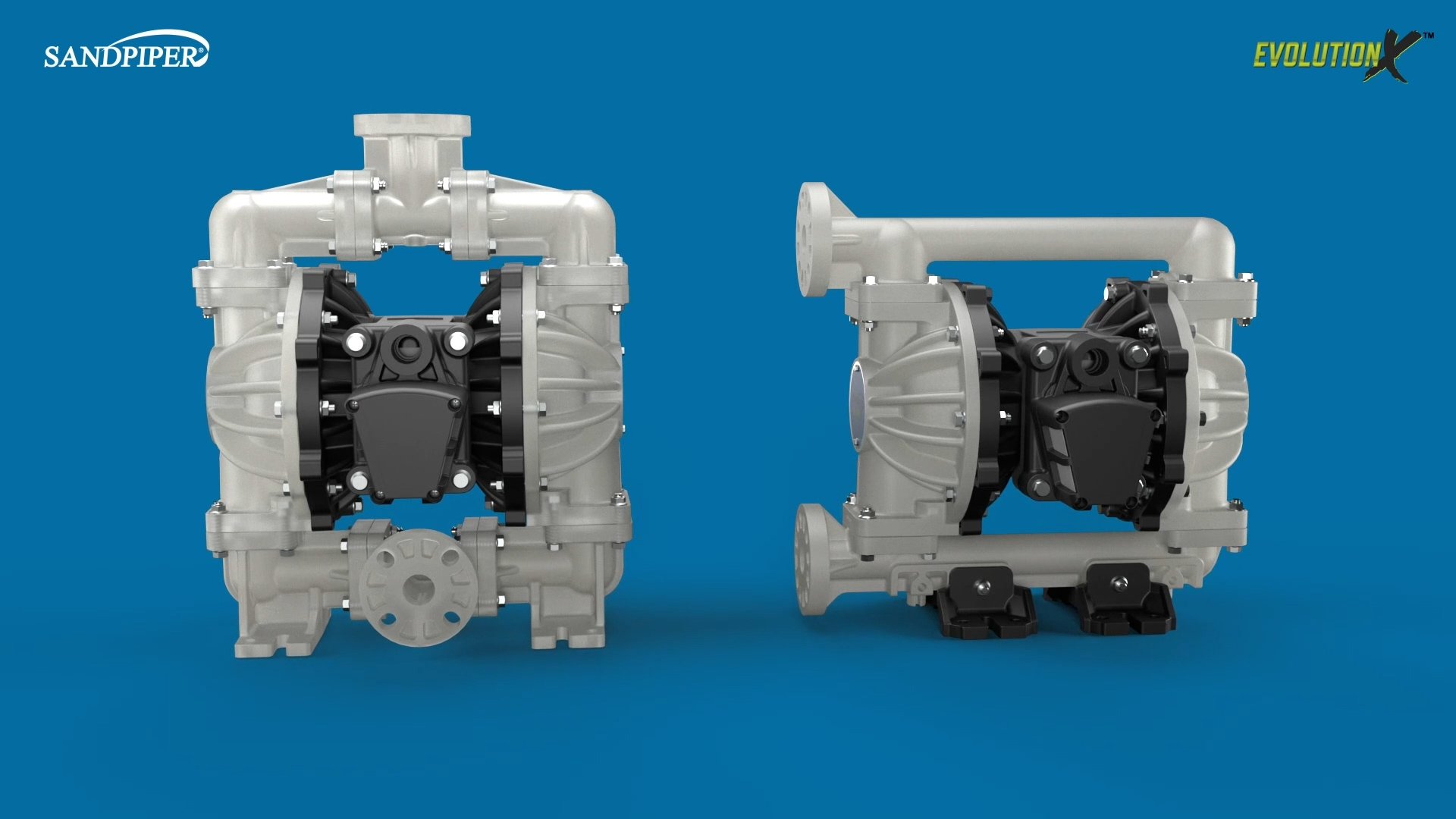 Sandpiper Evolution X 1